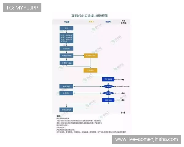 金沙国际国际站注册流程全攻略，新手玩家快速入门的详细操作指南