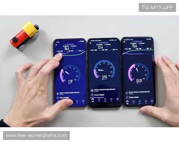 奥门金沙网页用户体验优化方案提升网页加载速度与操作流畅度