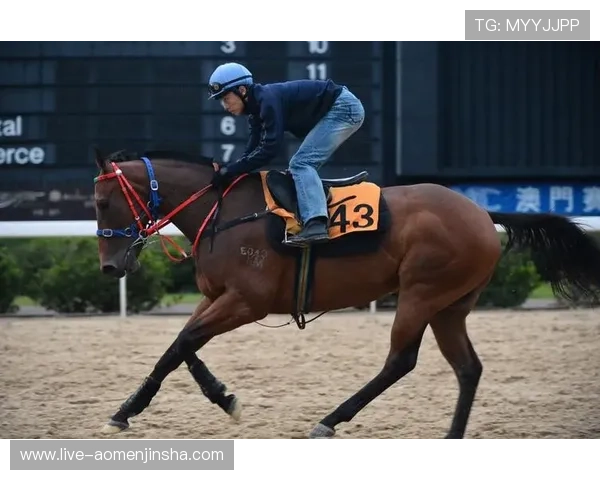 澳门赛马排位表最新更新及详细资料全面解析助你掌握赛马最新动态